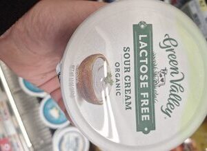 Green valley creamery organic lactose free sour cream