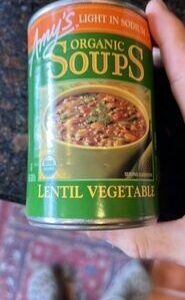 Lentil Vegetable Soup