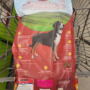 Purina One Adult Chicken and Rice Dog Food